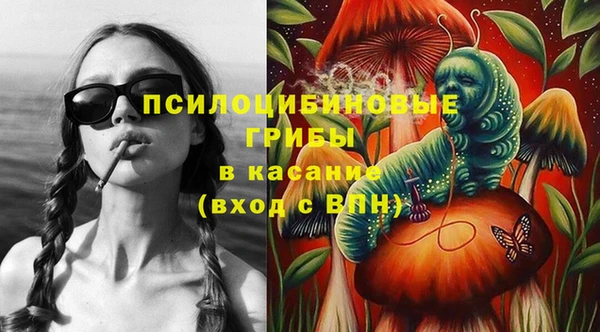 прущая мука Аркадак
