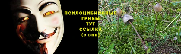 стафф Балабаново